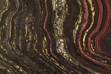 Polished Tiger Iron Stromatolite Slab - Billion Years #262004-1